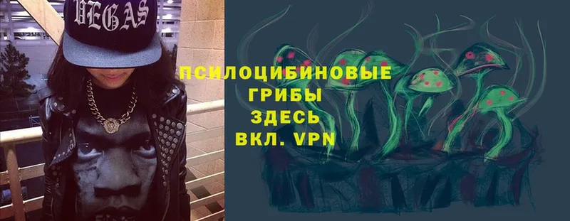 Галлюциногенные грибы мухоморы  Ельня 